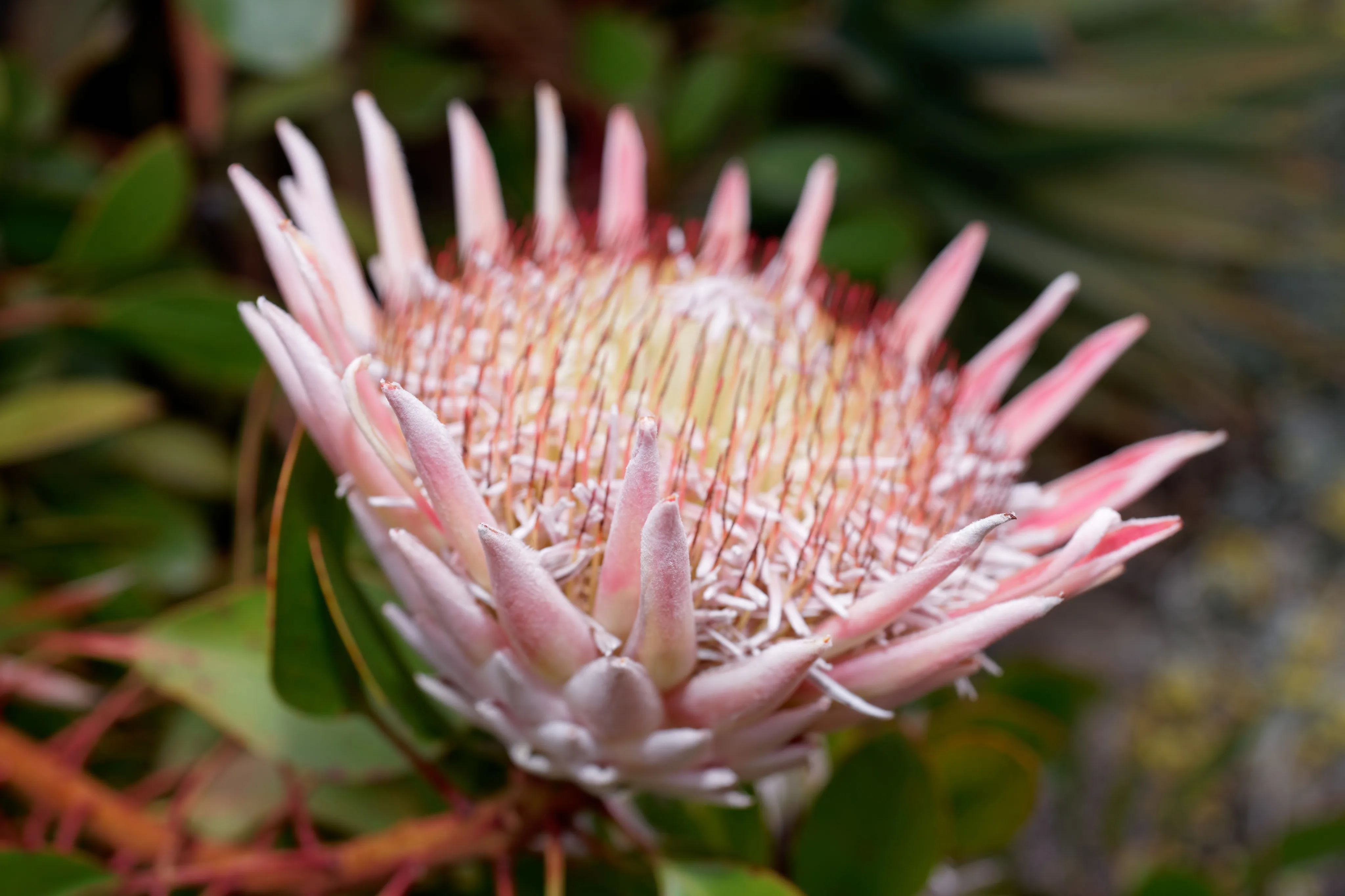 Refresh of Hello Tham website featured image